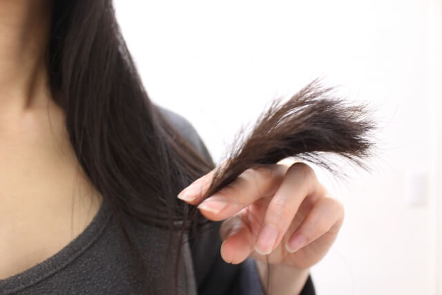 髪の毛が中国ではたん白加水分解物の原料