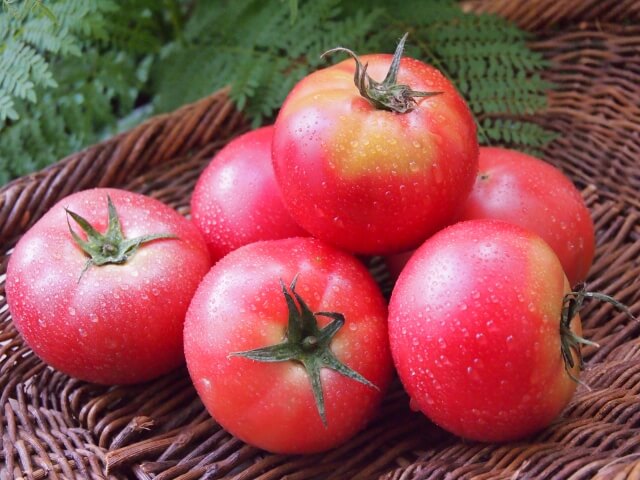 セラミドを含む食品トマト