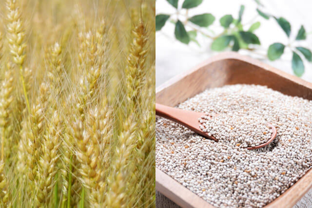 ベースパスタの原材料は小麦全粒粉とチアシード